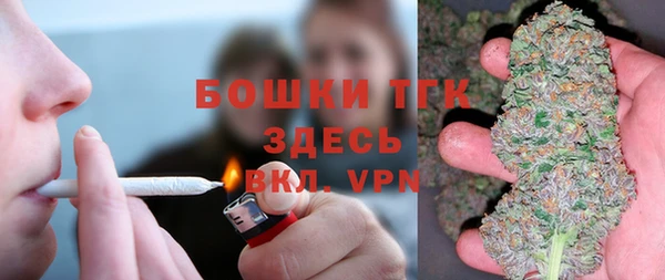 индика Вяземский