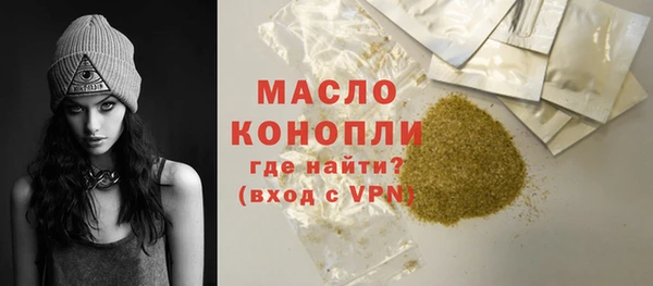 индика Вяземский