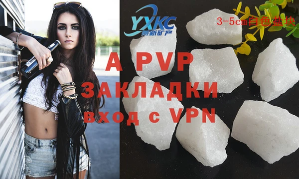 индика Вяземский