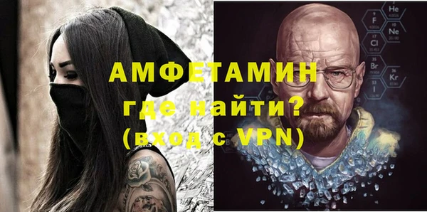 индика Вяземский
