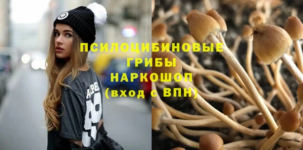 мдма Горнозаводск
