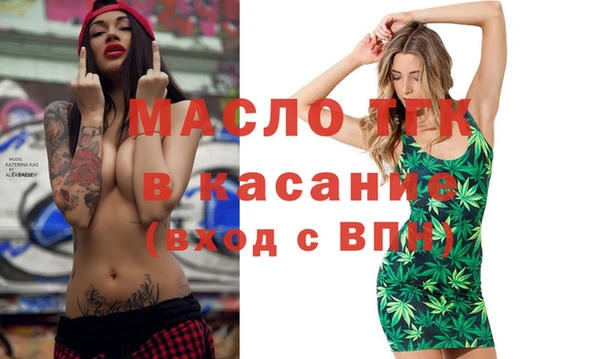индика Вяземский
